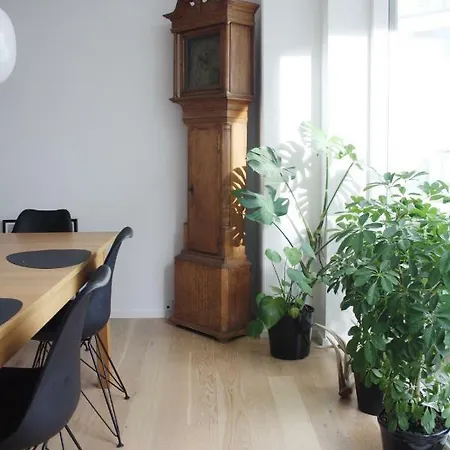 Apartment Modern In Z-house