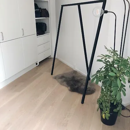 Modern In Z-house דירה
